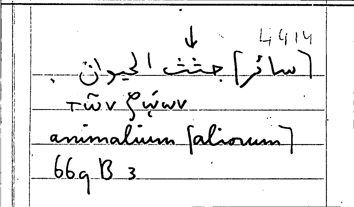 Filecard Arist.Part-anim.11253