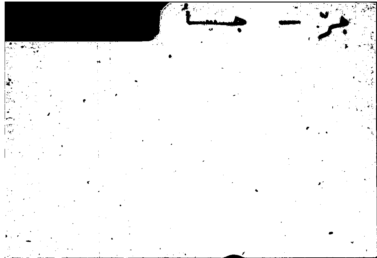 Filecard Arist.Part-anim.11294