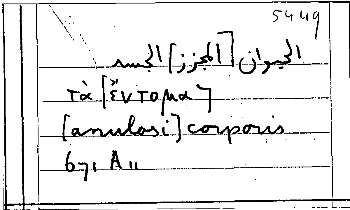 Filecard Arist.Part-anim.11301