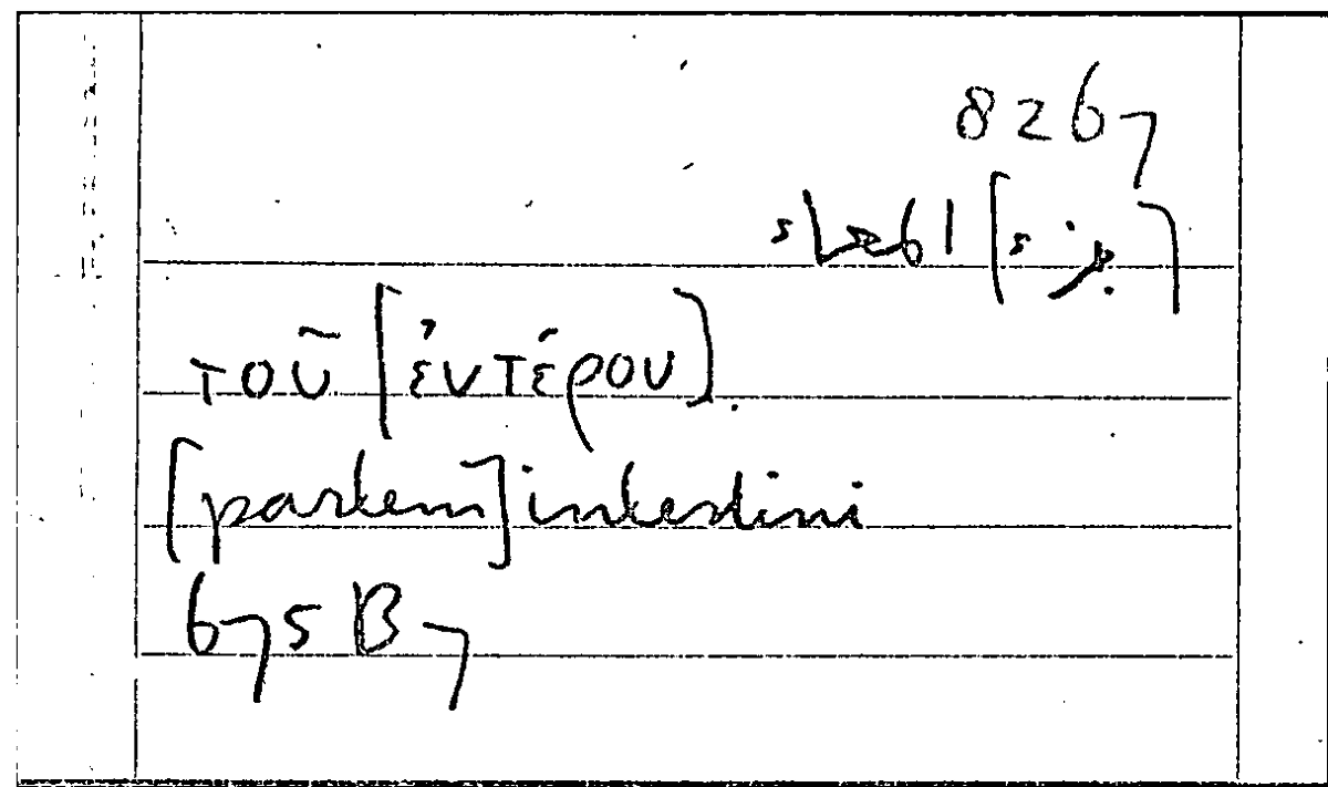 Filecard Arist.Part-anim.11314