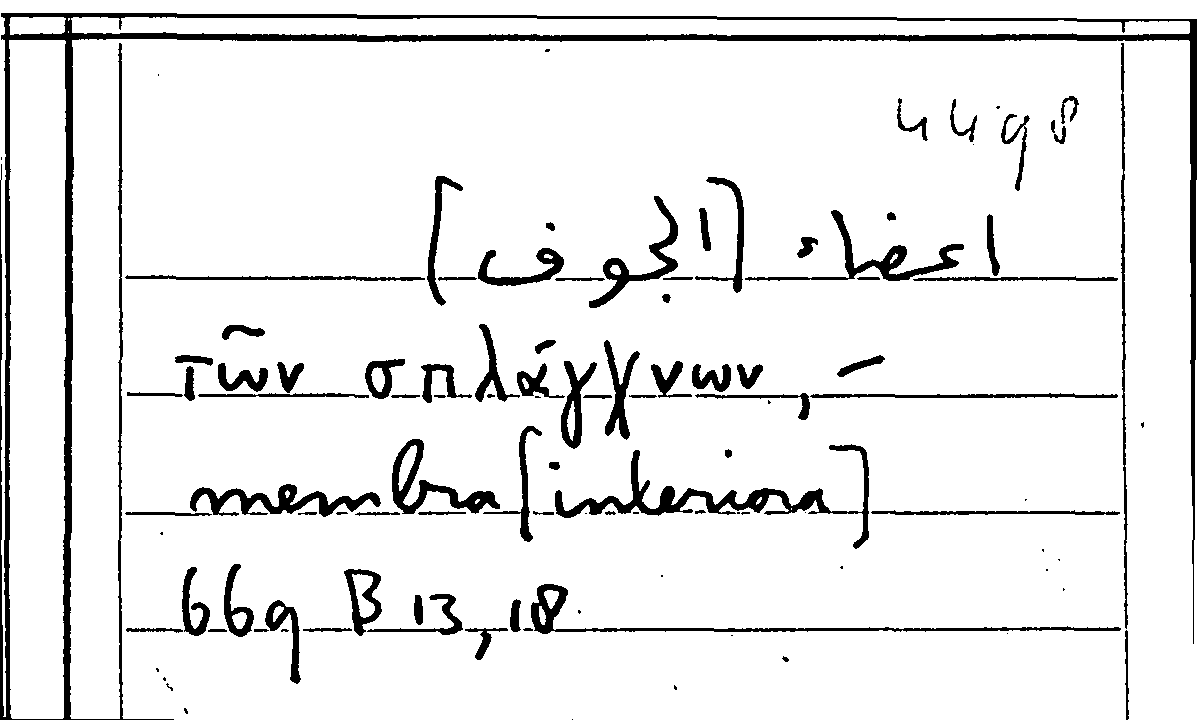 Filecard Arist.Part-anim.11382