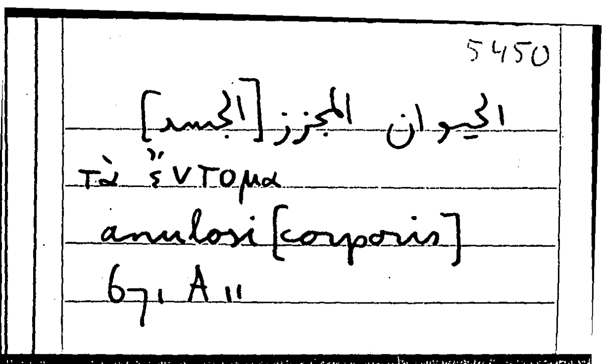 Filecard Arist.Part-anim.11389