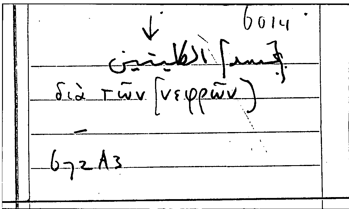 Filecard Arist.Part-anim.11395