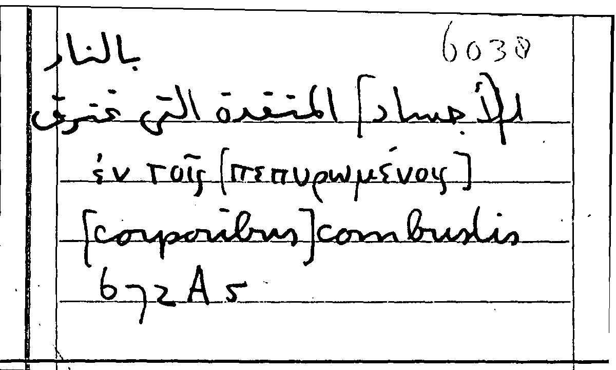 Filecard Arist.Part-anim.11421