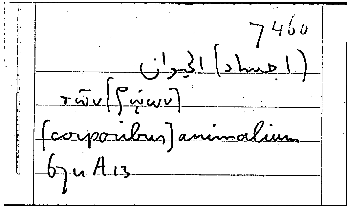 Filecard Arist.Part-anim.11430