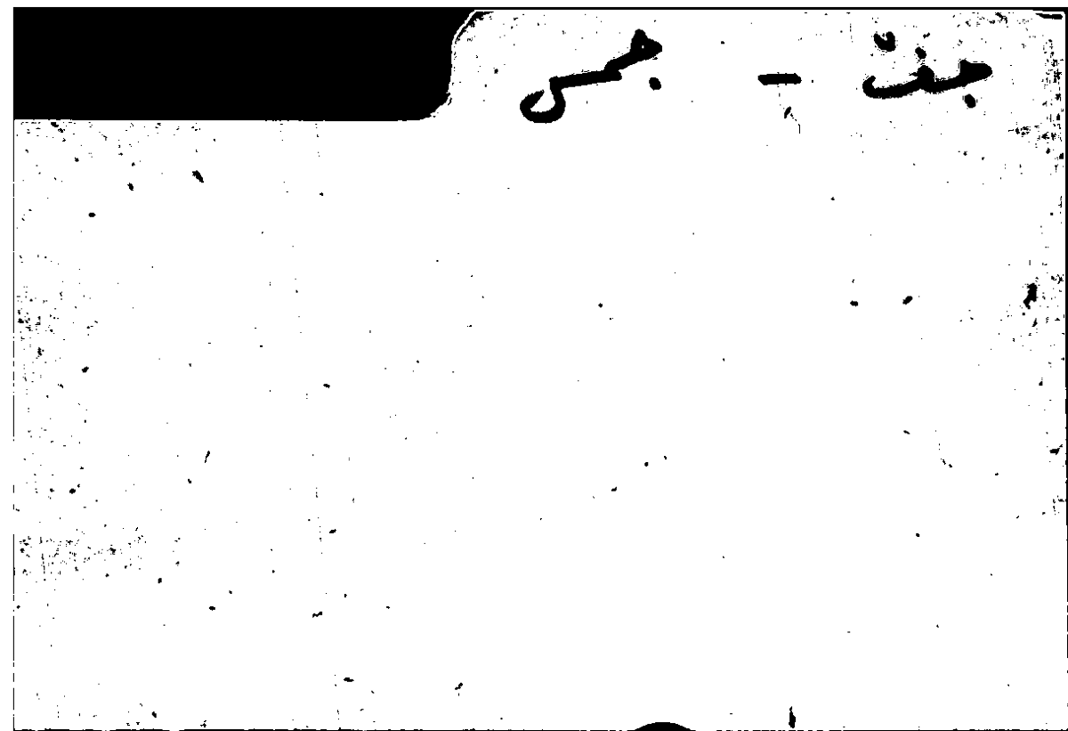 Filecard Arist.Part-anim.11438