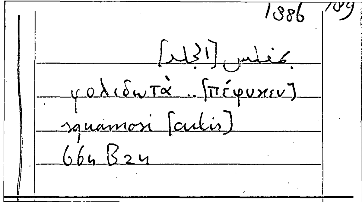 Filecard Arist.Part-anim.11445