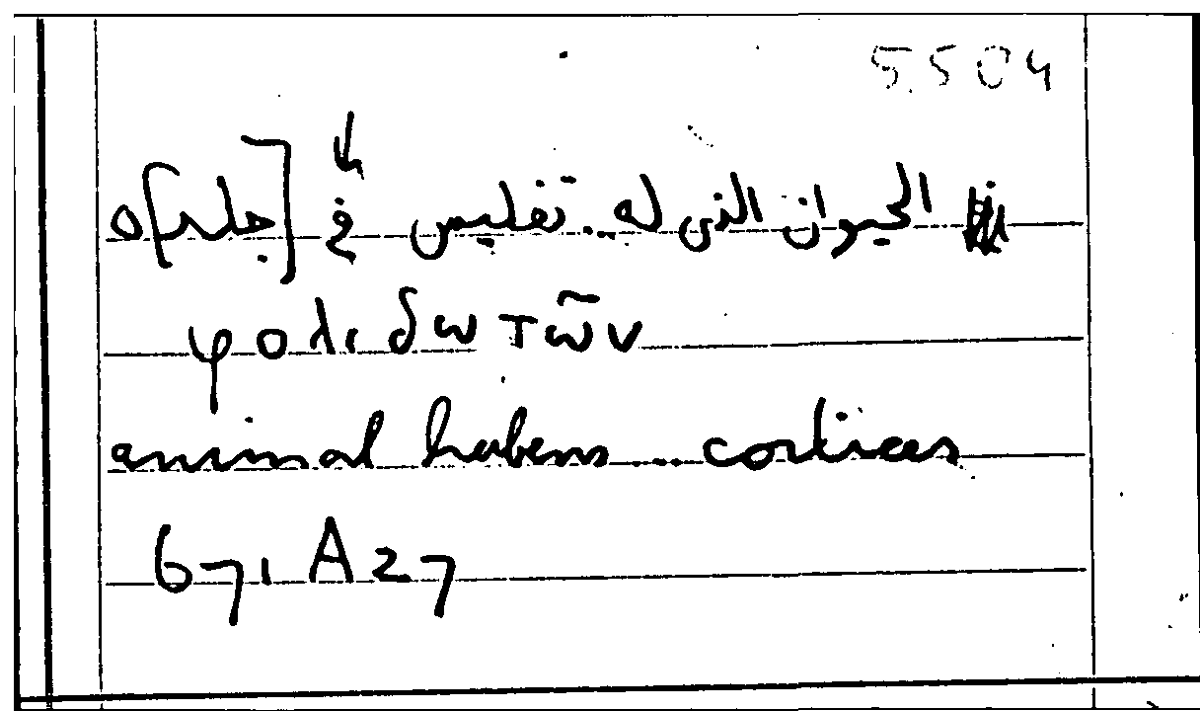 Filecard Arist.Part-anim.11447