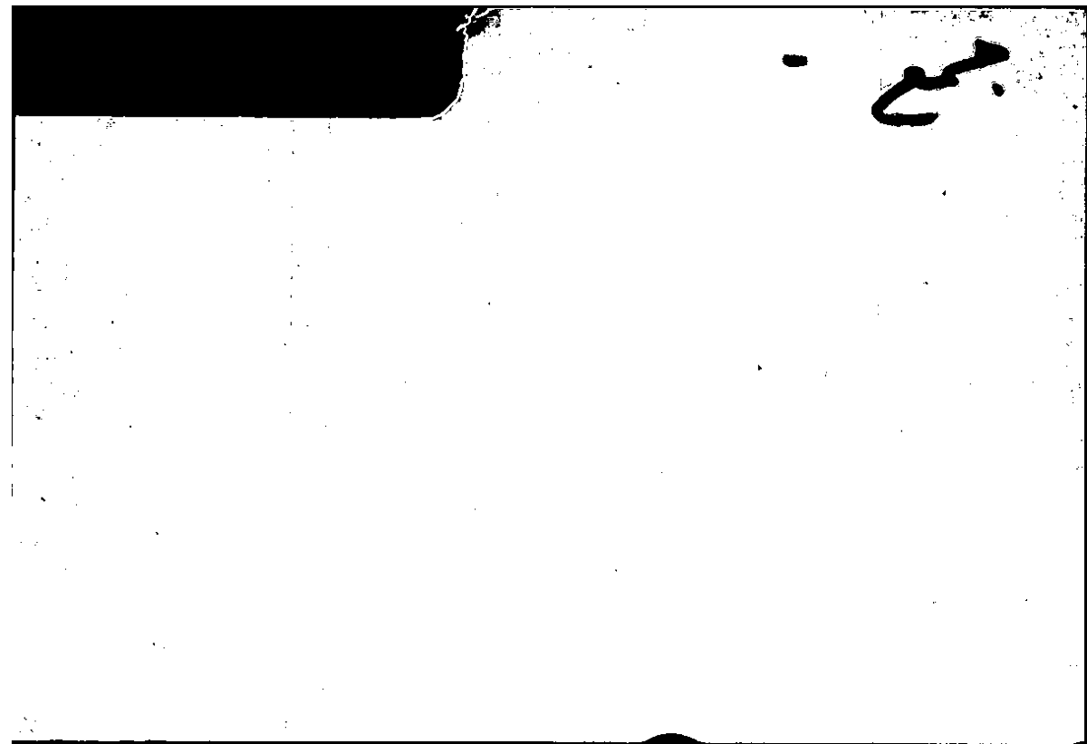 Filecard Arist.Part-anim.11463