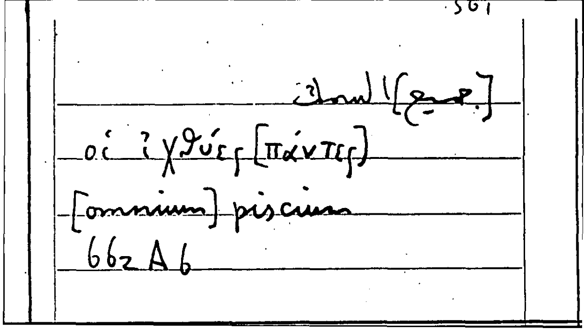 Filecard Arist.Part-anim.11472