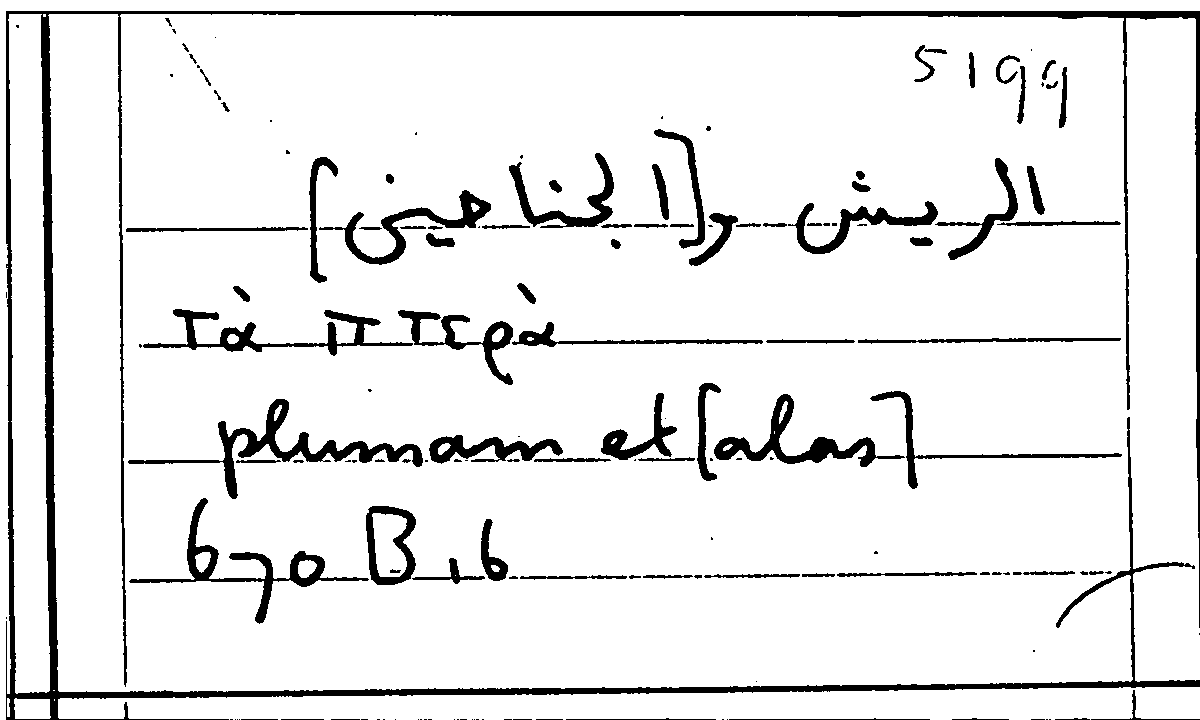 Filecard Arist.Part-anim.11544