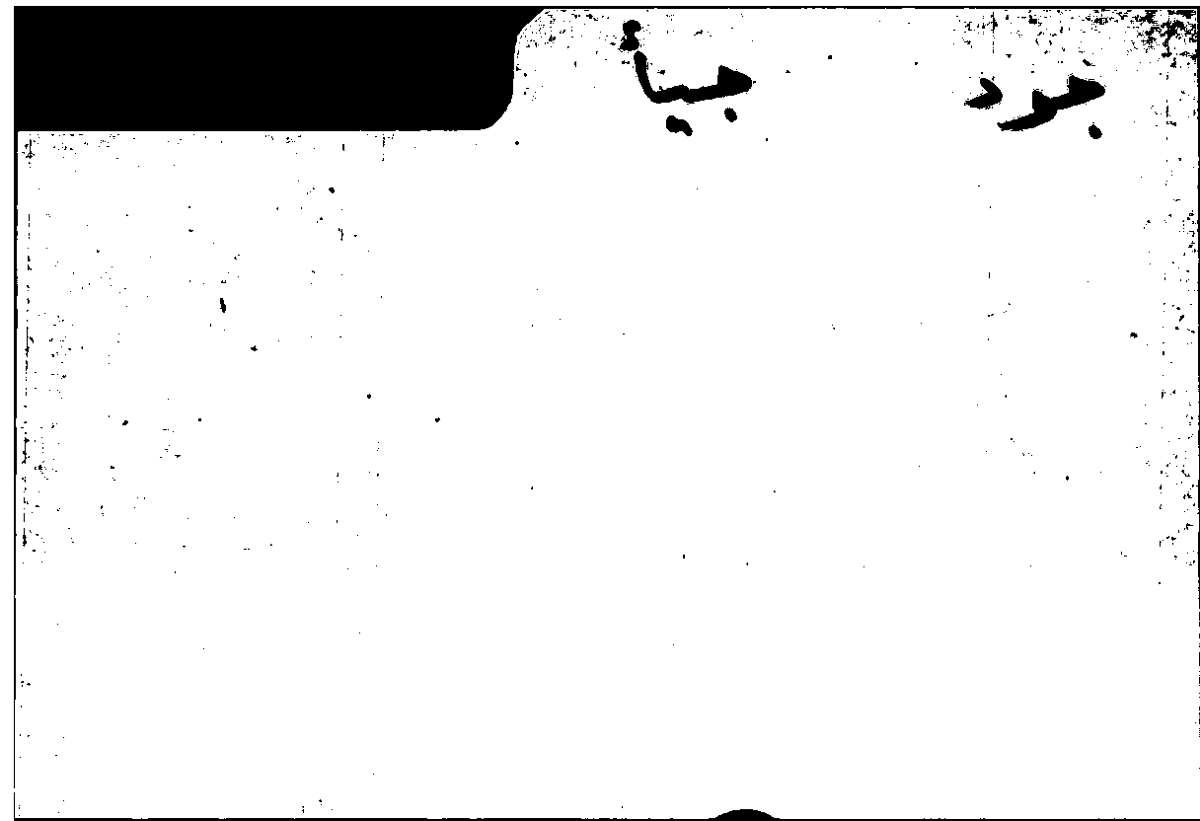 Filecard Arist.Part-anim.11569
