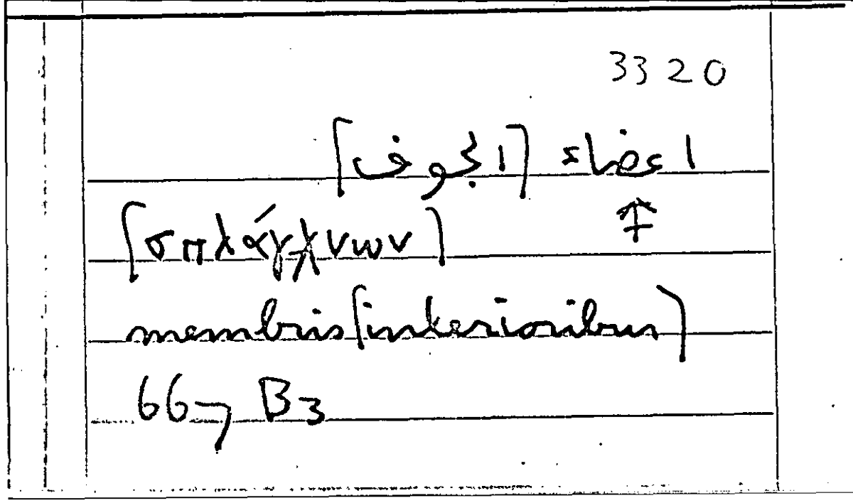 Filecard Arist.Part-anim.11598