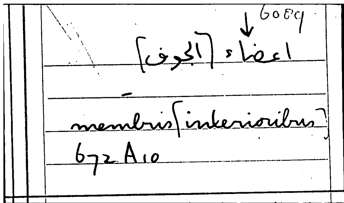 Filecard Arist.Part-anim.11608