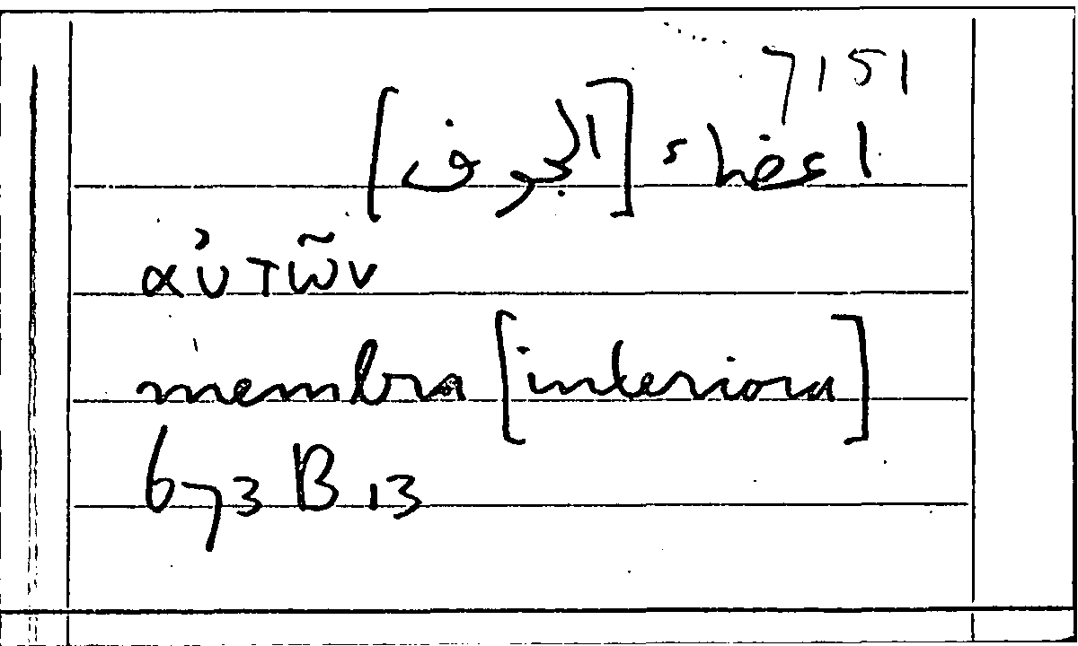 Filecard Arist.Part-anim.11615