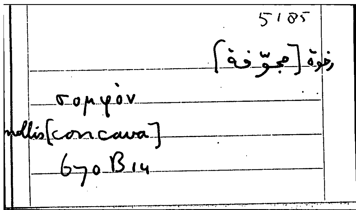 Filecard Arist.Part-anim.11628