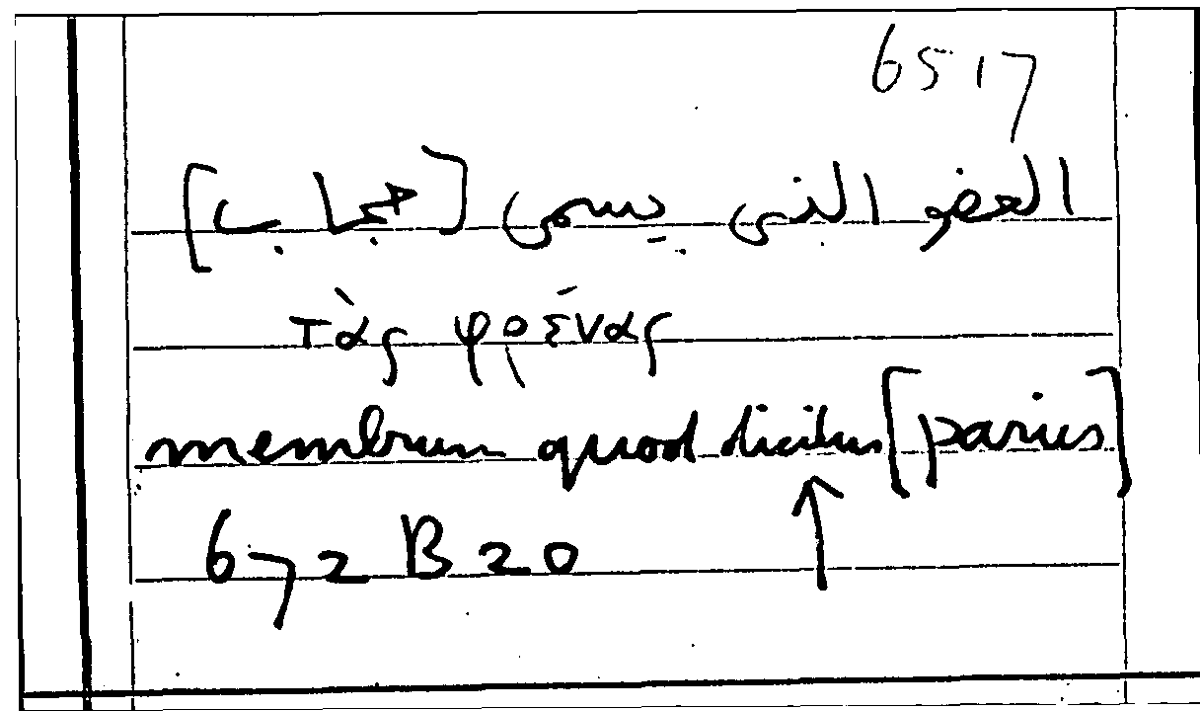 Filecard Arist.Part-anim.11653
