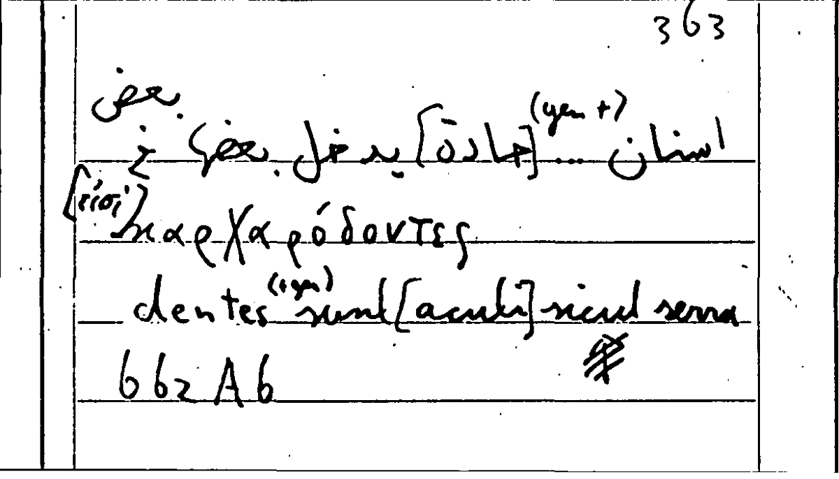 Filecard Arist.Part-anim.11682