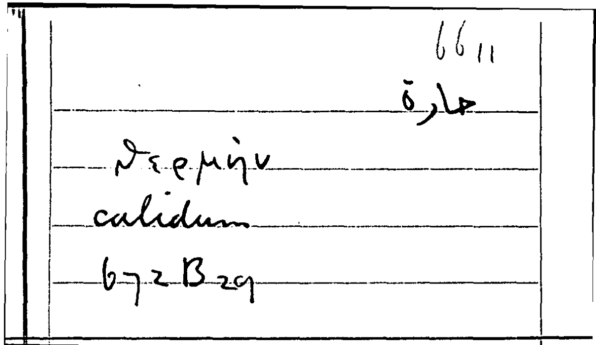 Filecard Arist.Part-anim.11726