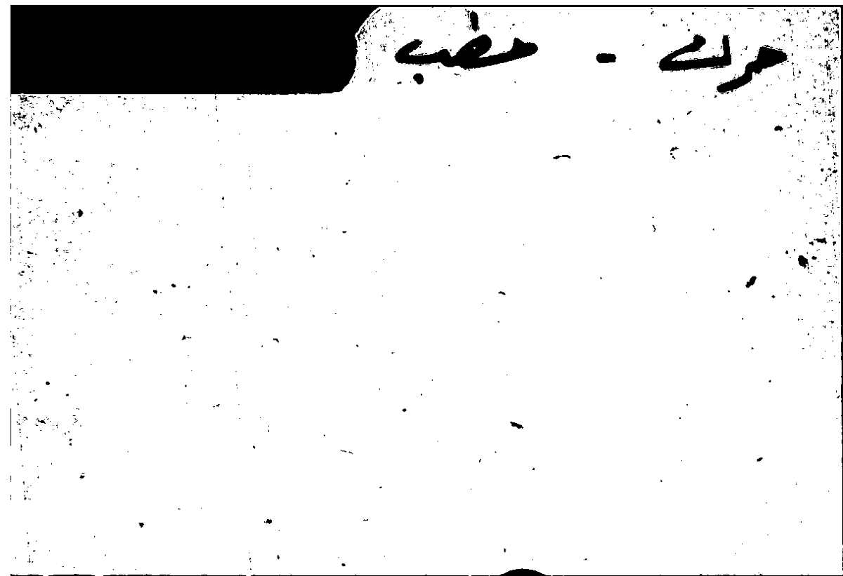 Filecard Arist.Part-anim.11729