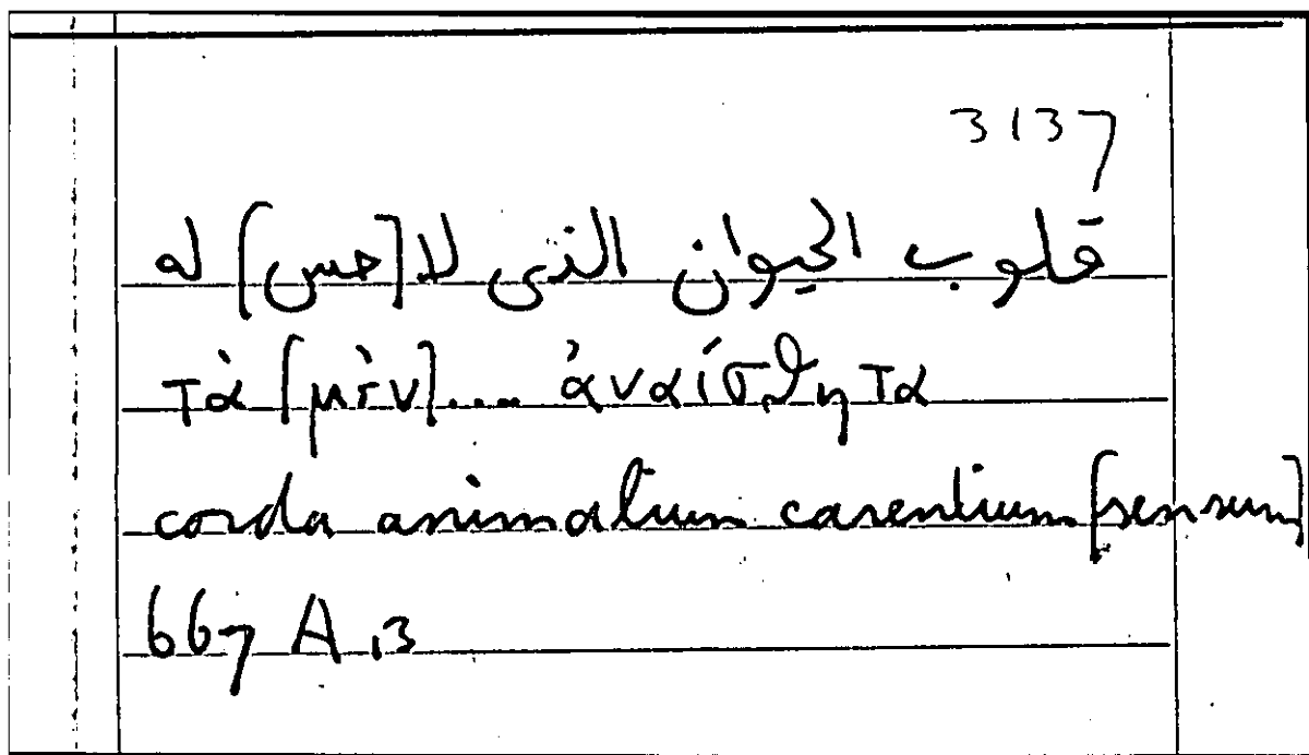 Filecard Arist.Part-anim.11766