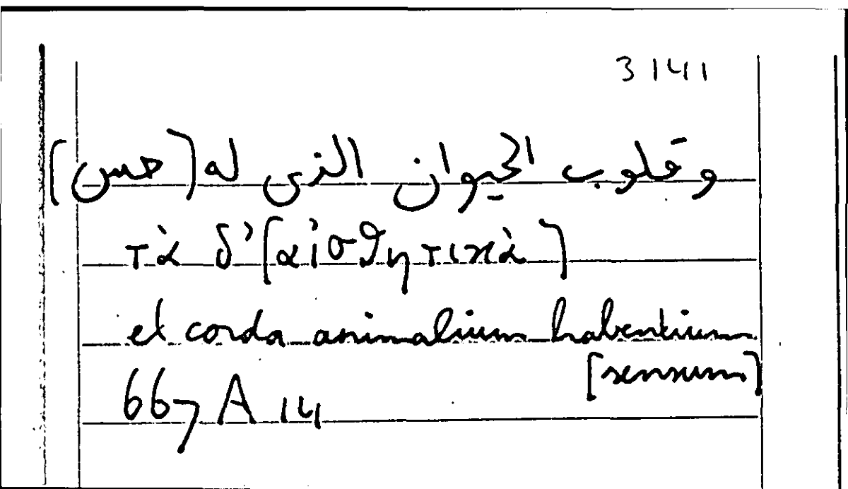 Filecard Arist.Part-anim.11767