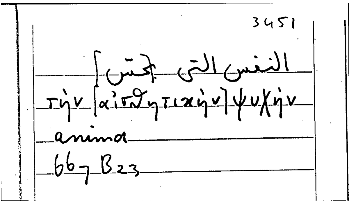 Filecard Arist.Part-anim.11768