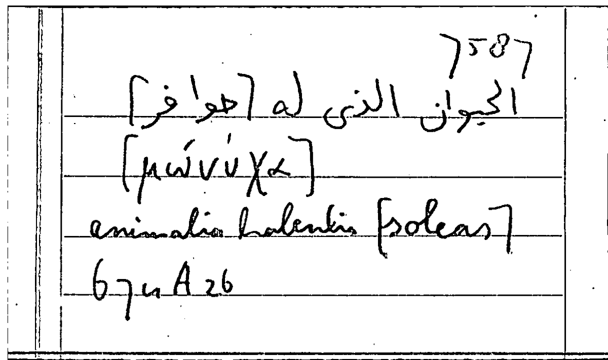 Filecard Arist.Part-anim.11789