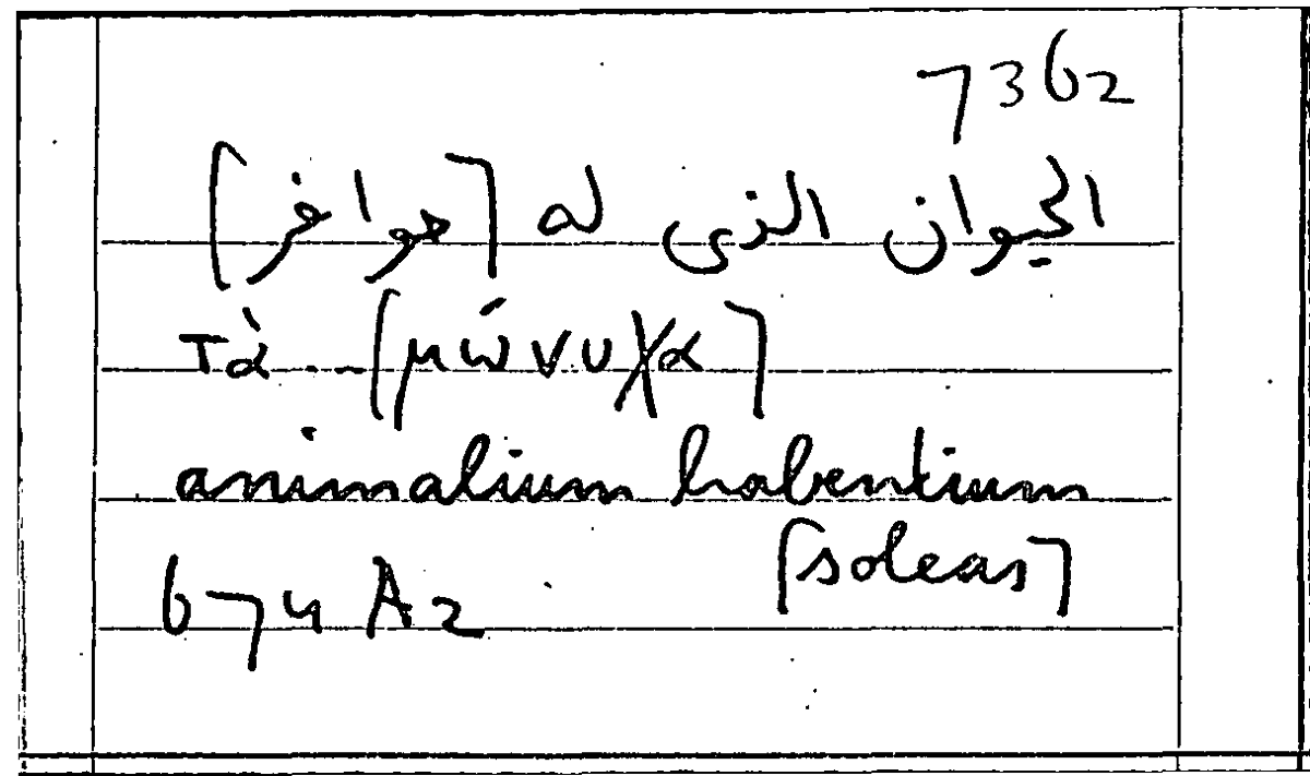 Filecard Arist.Part-anim.11790