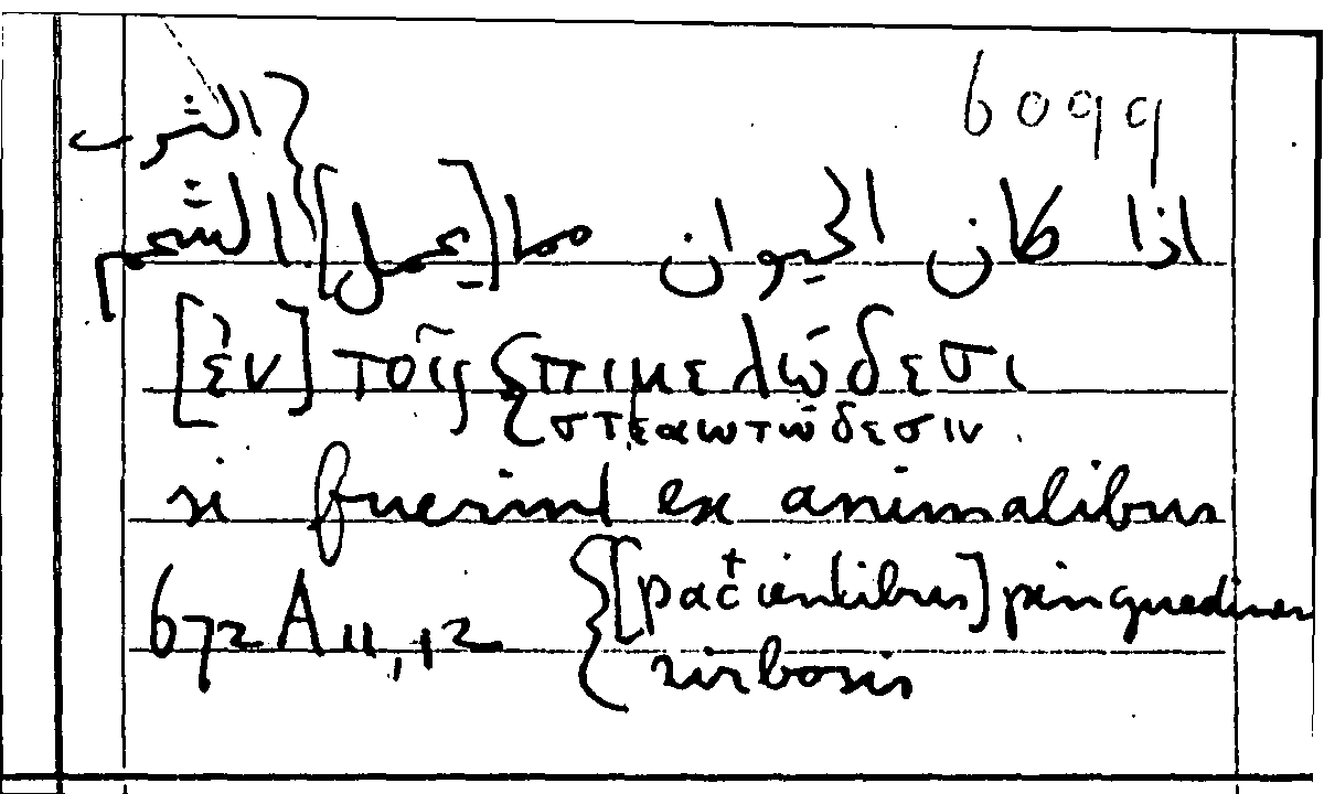 Filecard Arist.Part-anim.11814