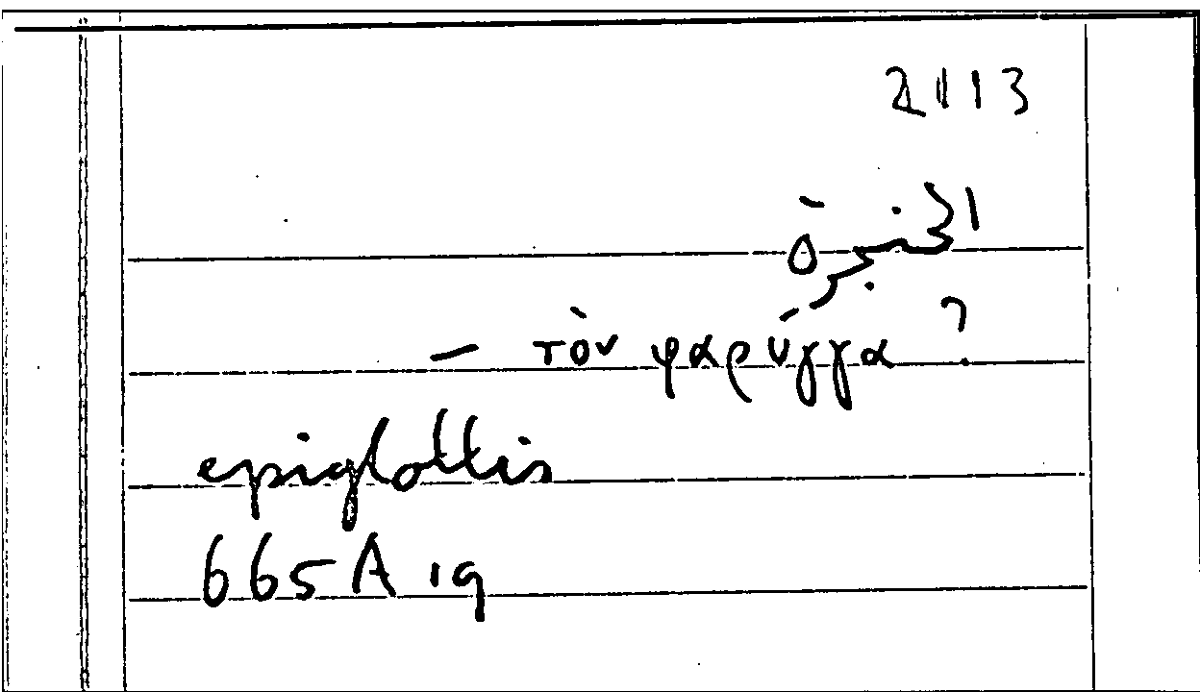 Filecard Arist.Part-anim.11824
