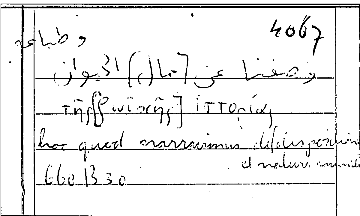 Filecard Arist.Part-anim.11888