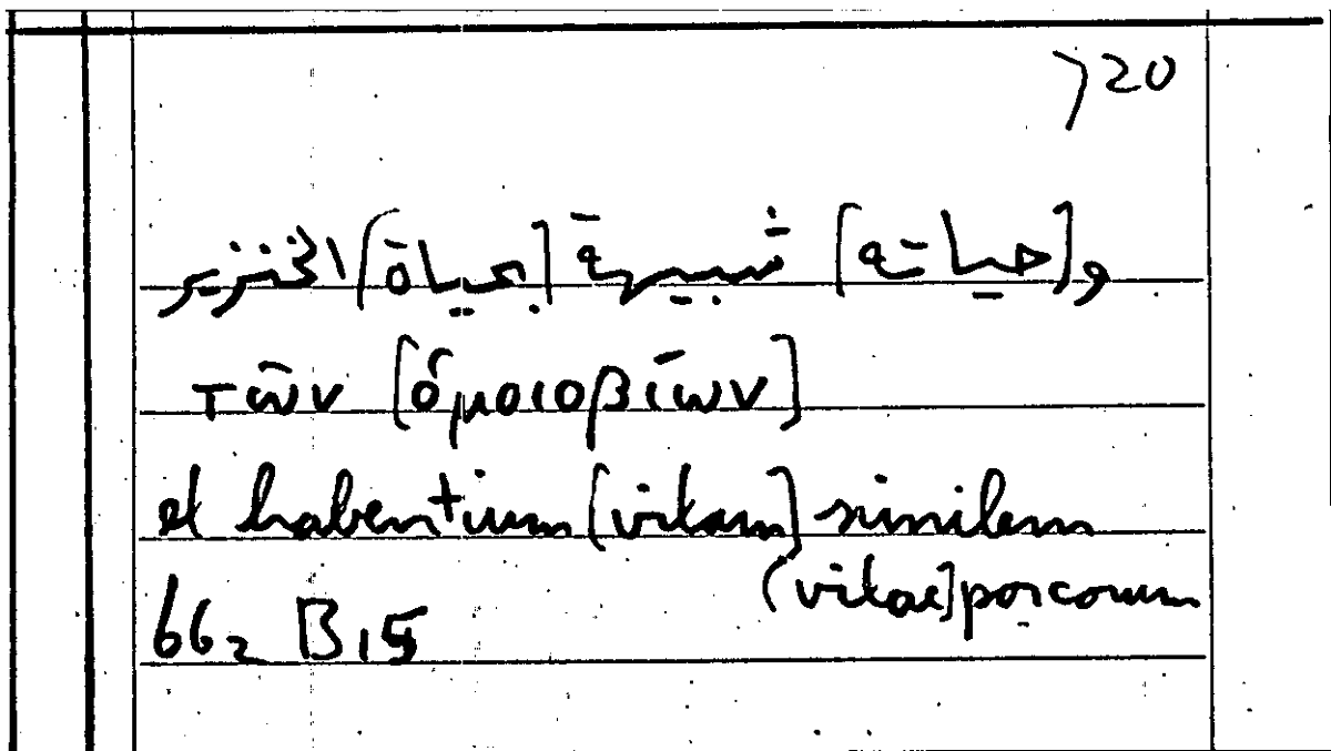 Filecard Arist.Part-anim.11958