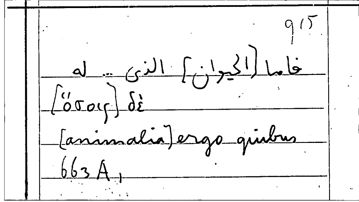 Filecard Arist.Part-anim.11973