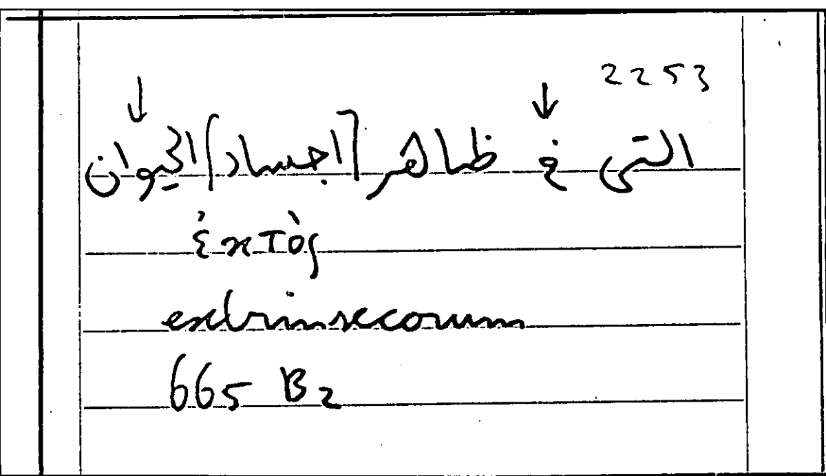 Filecard Arist.Part-anim.11981