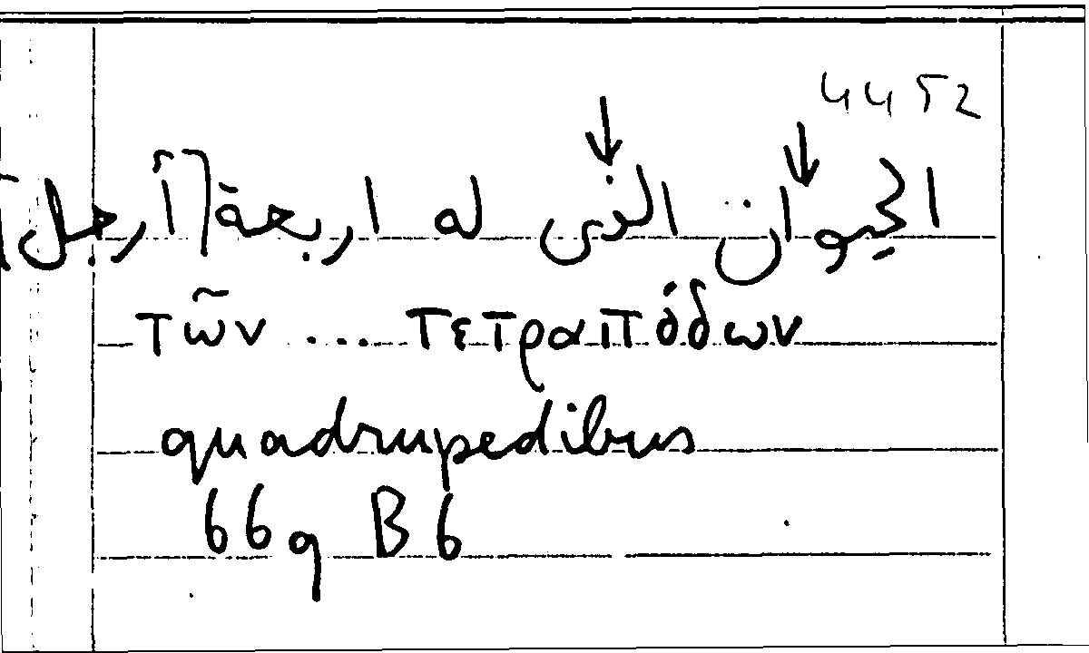 Filecard Arist.Part-anim.11998