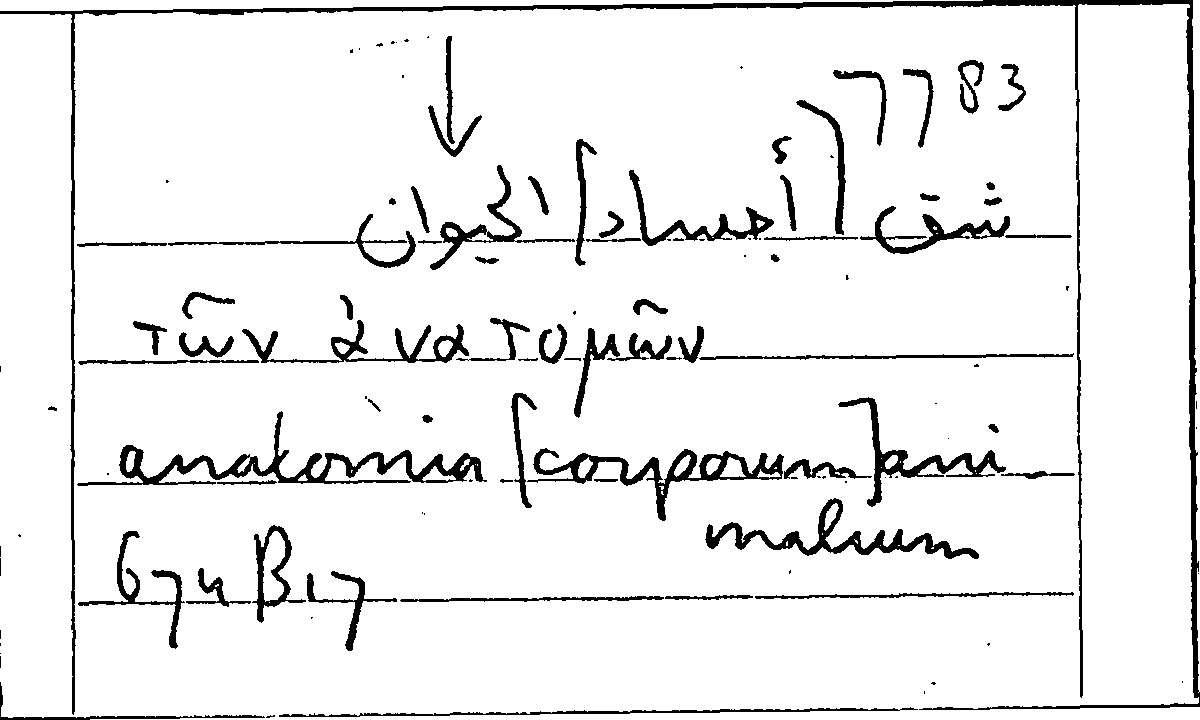 Filecard Arist.Part-anim.12029
