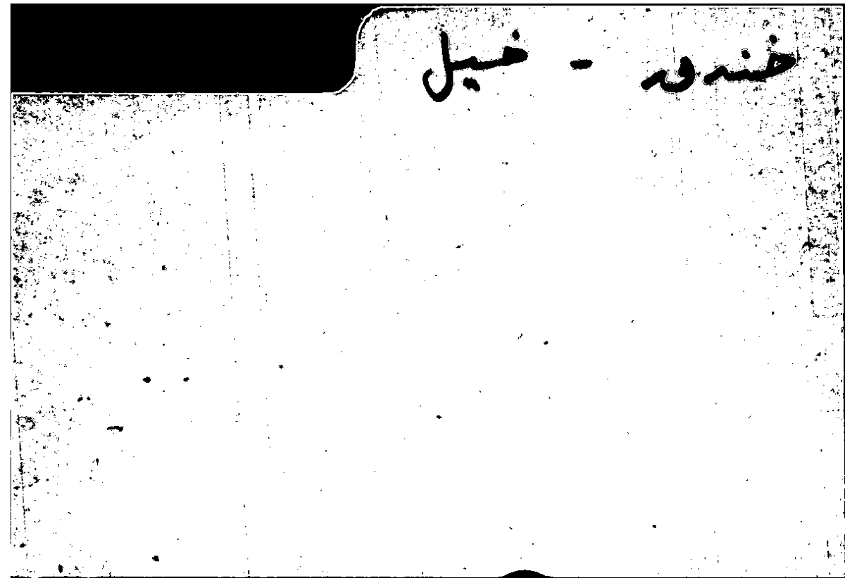 Filecard Arist.Part-anim.20118