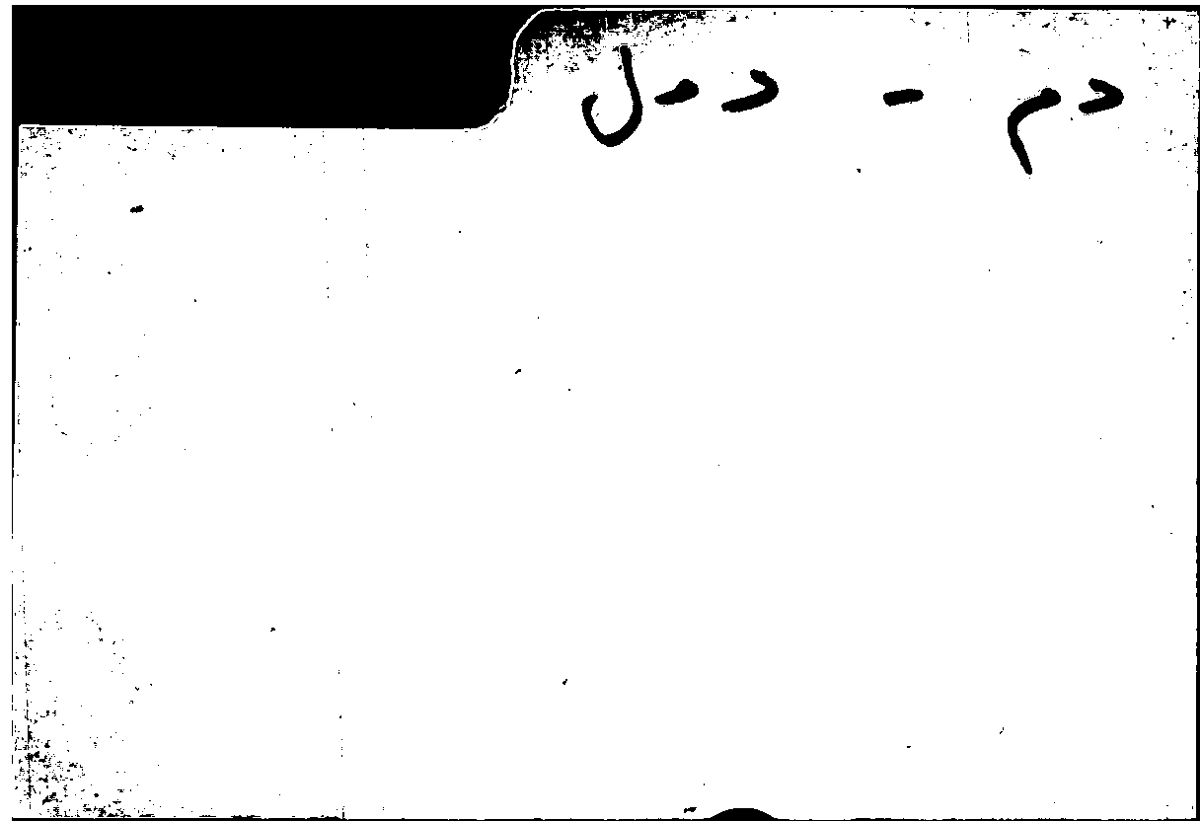 Filecard Arist.Part-anim.20191
