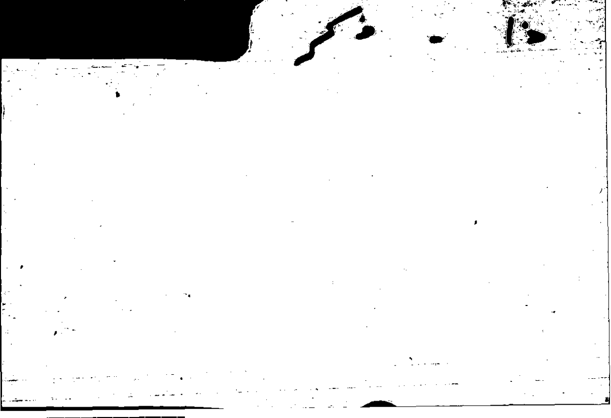 Filecard Arist.Part-anim.20274