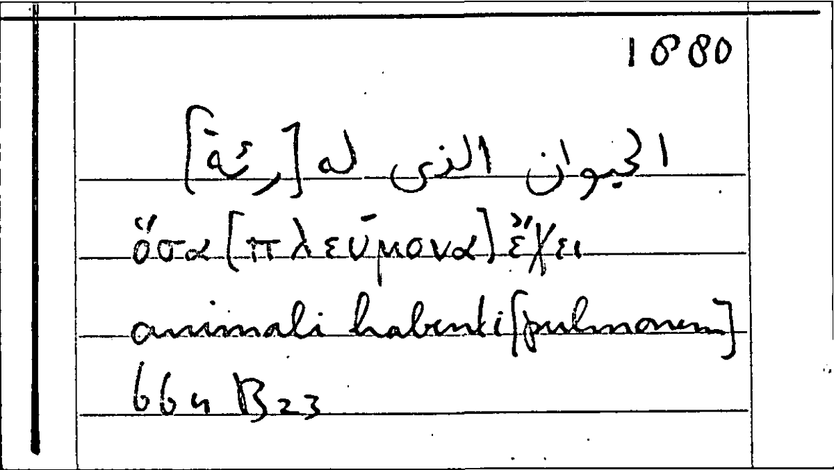 Filecard Arist.Part-anim.20458