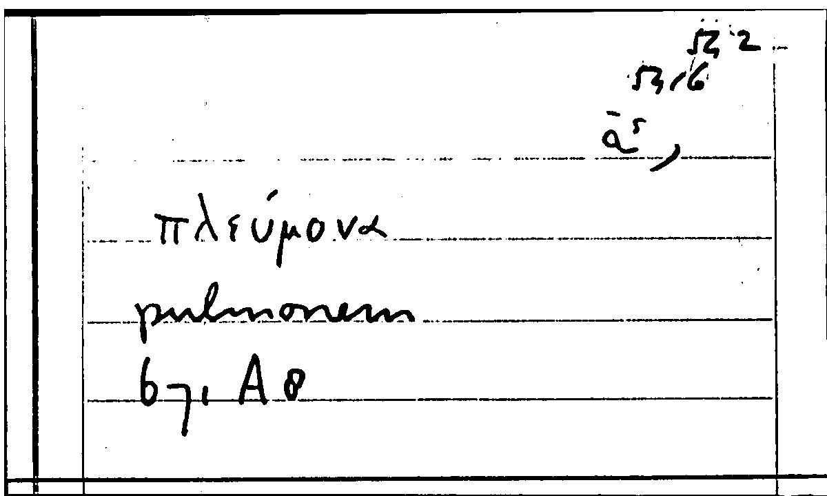 Filecard Arist.Part-anim.20481