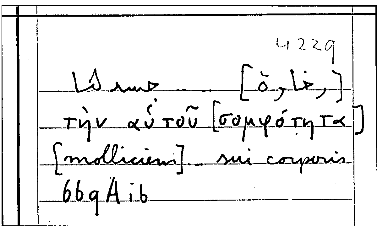 Filecard Arist.Part-anim.20538