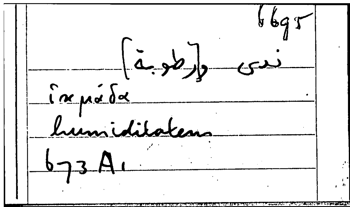 Filecard Arist.Part-anim.20573