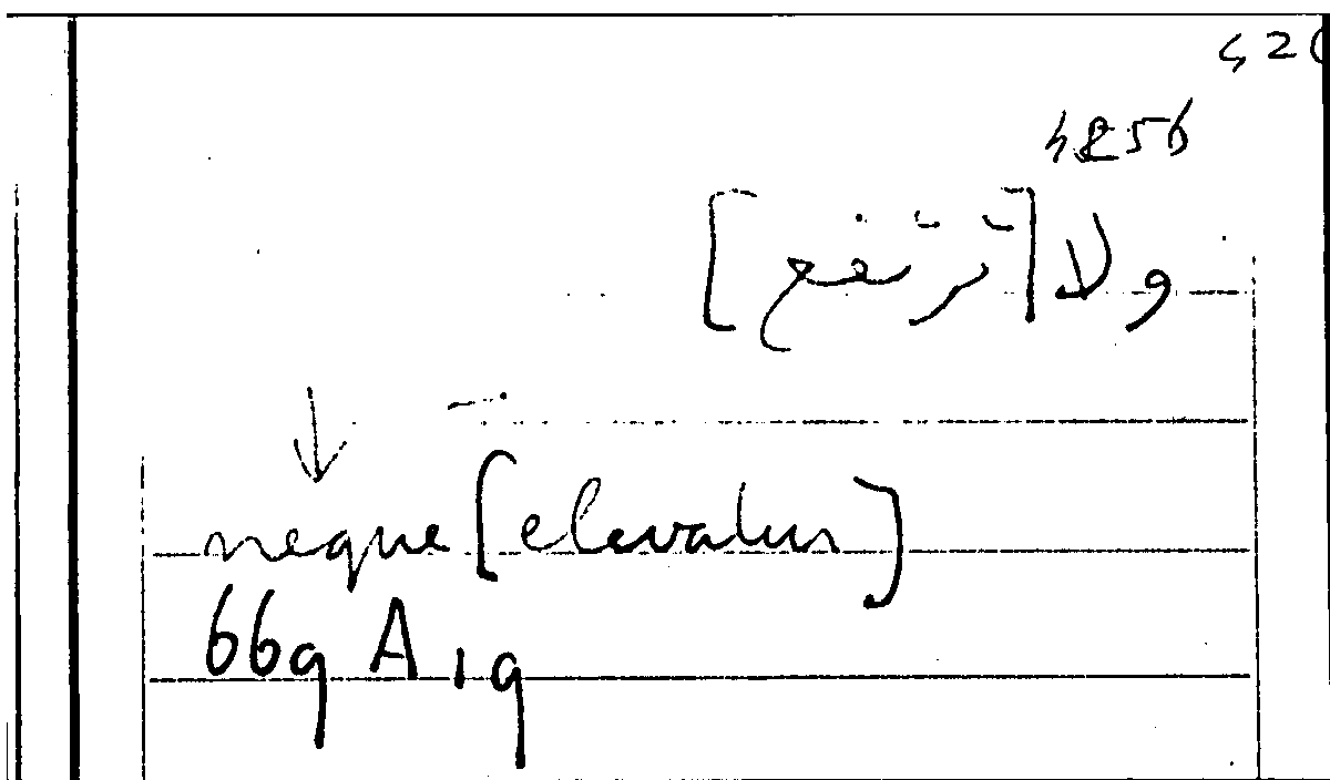 Filecard Arist.Part-anim.20587