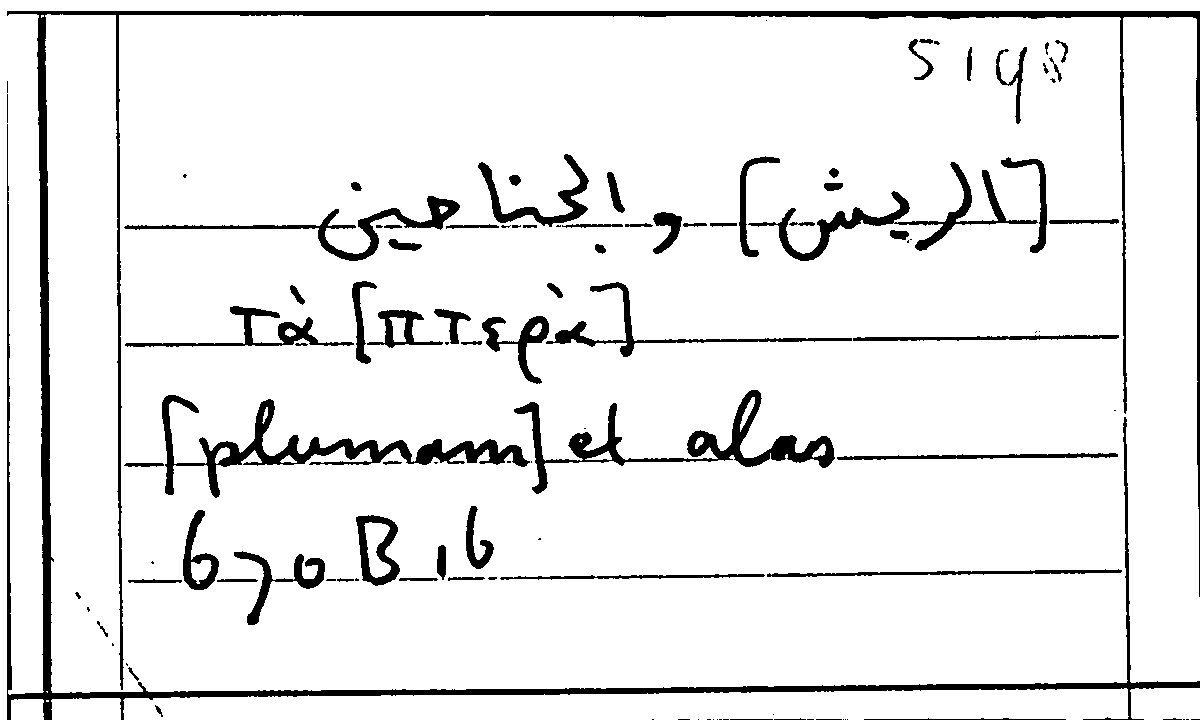 Filecard Arist.Part-anim.20621