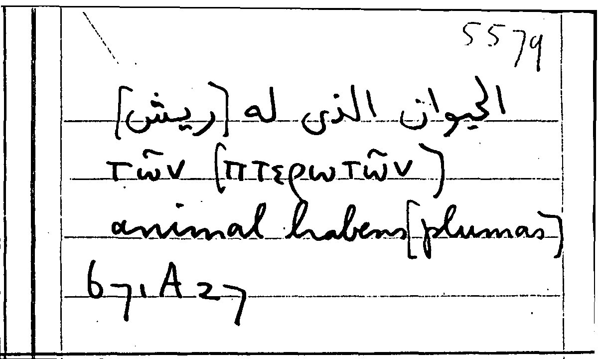 Filecard Arist.Part-anim.20623