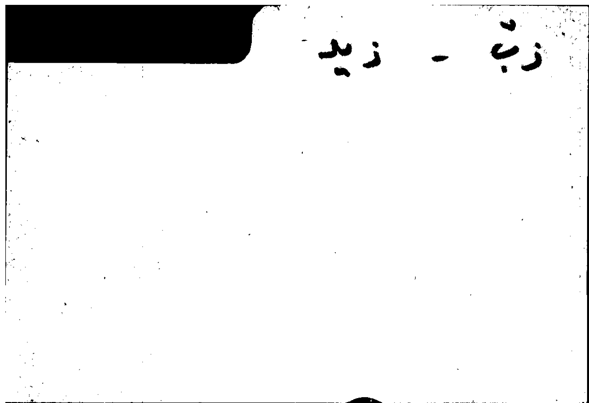 Filecard Arist.Part-anim.20624