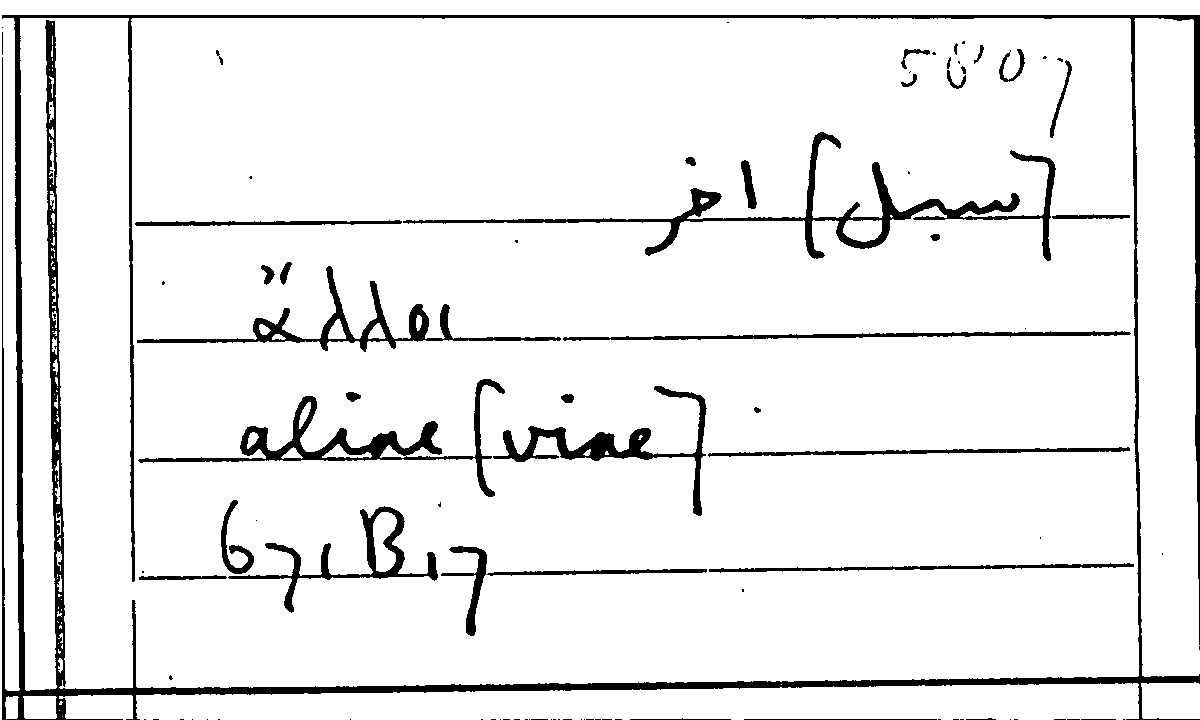 Filecard Arist.Part-anim.20674