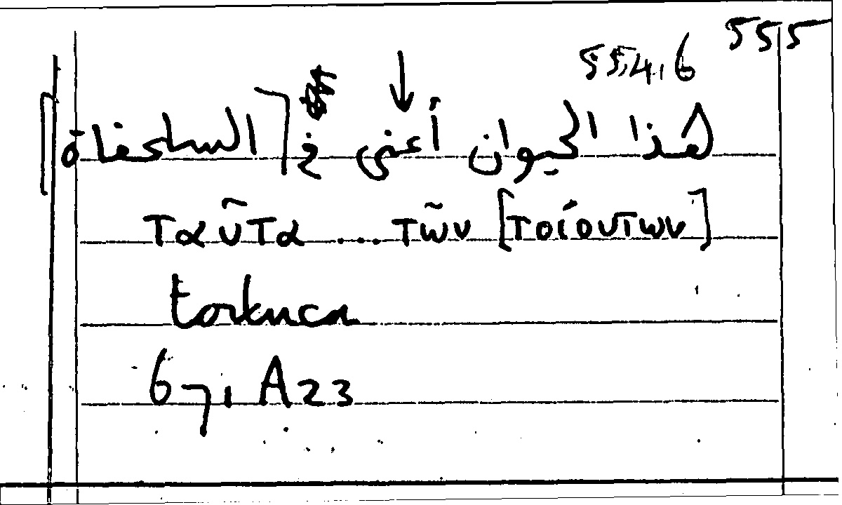 Filecard Arist.Part-anim.20727